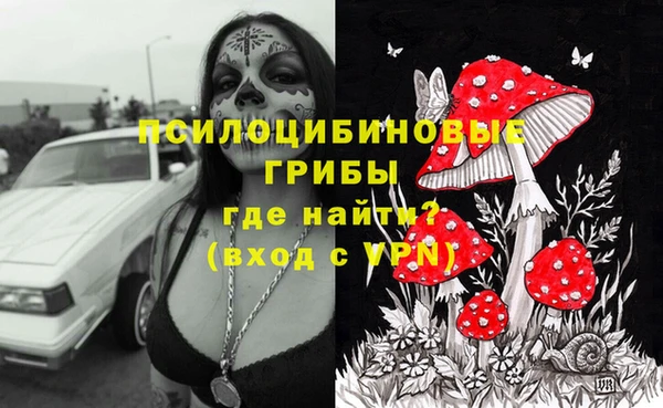бошки Майский