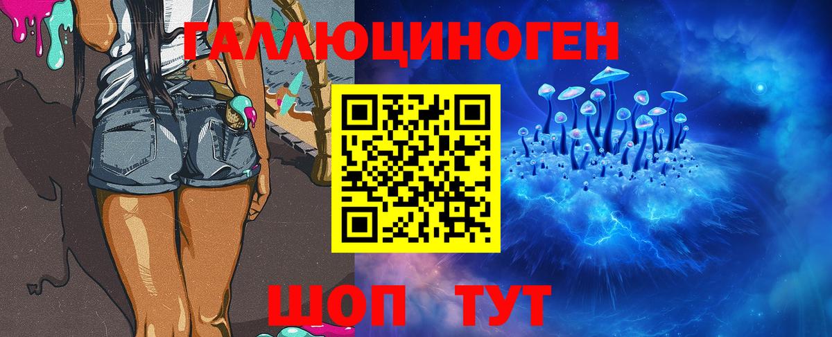 Черногорск  Псилоцибиновые грибы прущие грибы  Вход с VPN  Галлюциногенные грибы мухоморы 